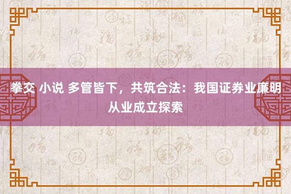 拳交 小说 多管皆下，共筑合法：我国证券业廉明从业成立探索