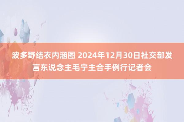 波多野结衣内涵图 2024年12月30日社交部发言东说念主毛宁主合手例行记者会