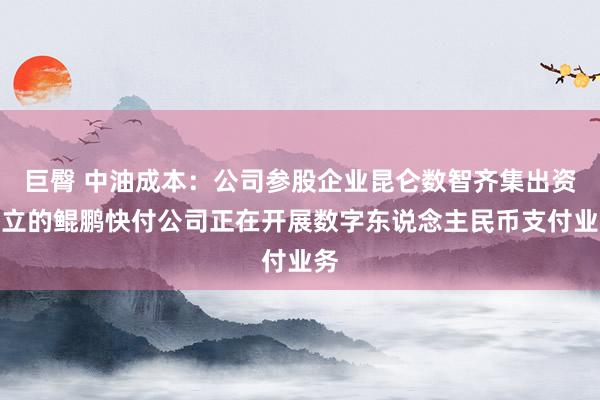 巨臀 中油成本：公司参股企业昆仑数智齐集出资建立的鲲鹏快付公司正在开展数字东说念主民币支付业务