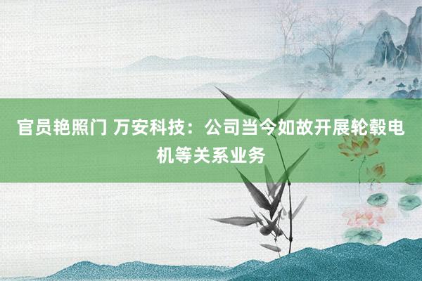 官员艳照门 万安科技：公司当今如故开展轮毂电机等关系业务