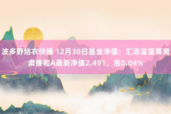 波多野结衣快播 12月30日基金净值：汇添富蓝筹肃肃搀和A最新净值2.491，涨0.04%