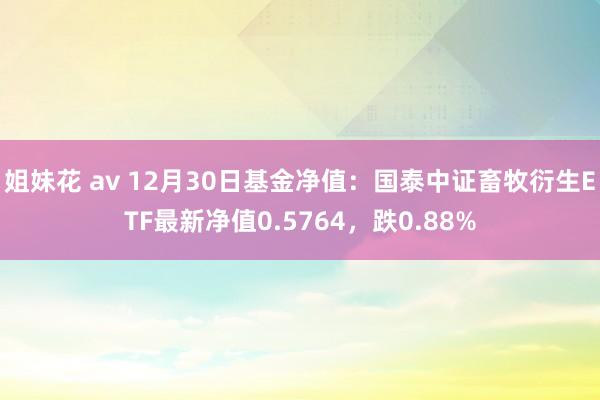 姐妹花 av 12月30日基金净值：国泰中证畜牧衍生ETF最新净值0.5764，跌0.88%