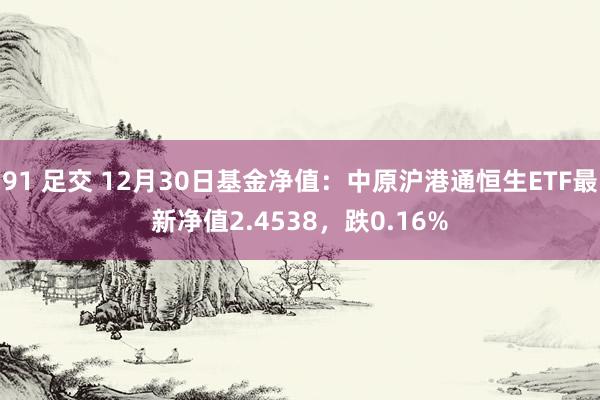 91 足交 12月30日基金净值：中原沪港通恒生ETF最新净值2.4538，跌0.16%