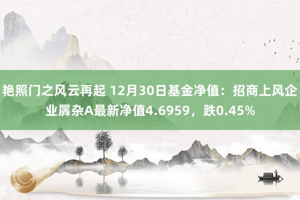 艳照门之风云再起 12月30日基金净值：招商上风企业羼杂A最新净值4.6959，跌0.45%