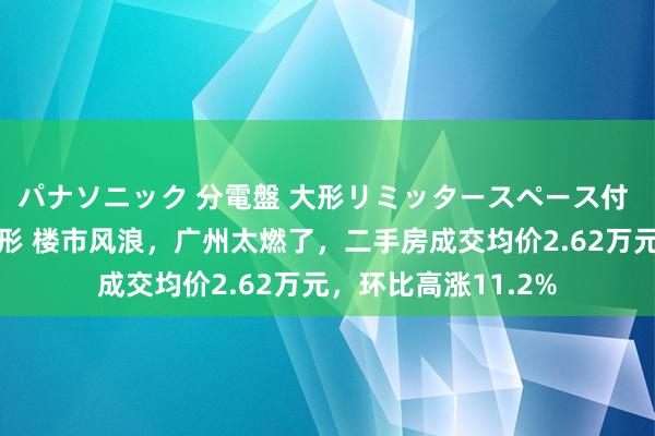 パナソニック 分電盤 大形リミッタースペース付 露出・半埋込両用形 楼市风浪，广州太燃了，二手房成交均价2.62万元，环比高涨11.2%