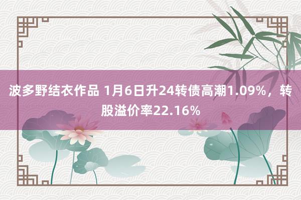 波多野结衣作品 1月6日升24转债高潮1.09%，转股溢价率22.16%