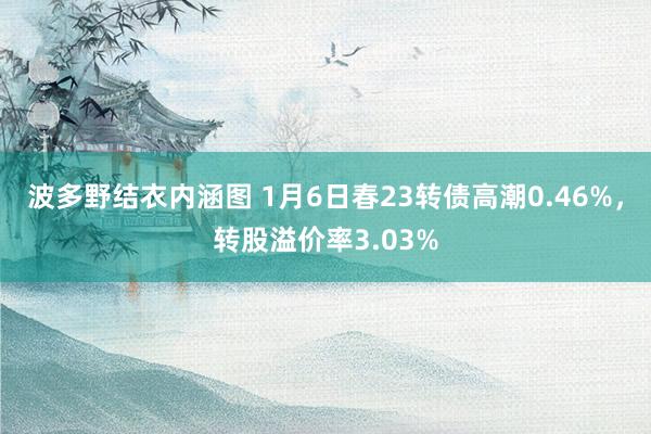 波多野结衣内涵图 1月6日春23转债高潮0.46%，转股溢价率3.03%