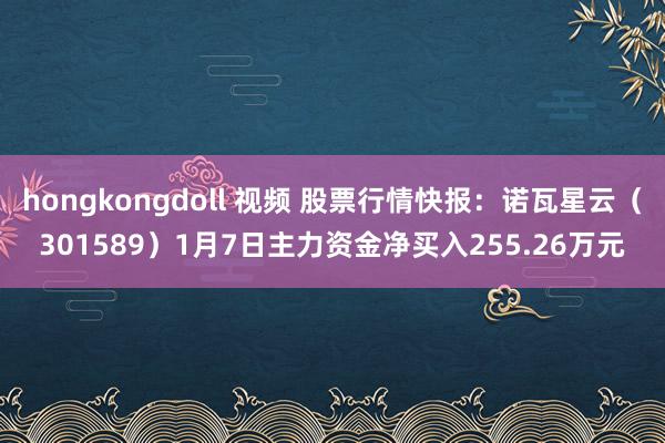 hongkongdoll 视频 股票行情快报：诺瓦星云（301589）1月7日主力资金净买入255.26万元