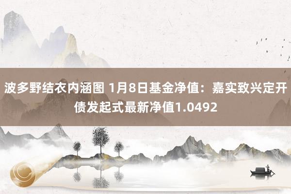 波多野结衣内涵图 1月8日基金净值：嘉实致兴定开债发起式最新净值1.0492