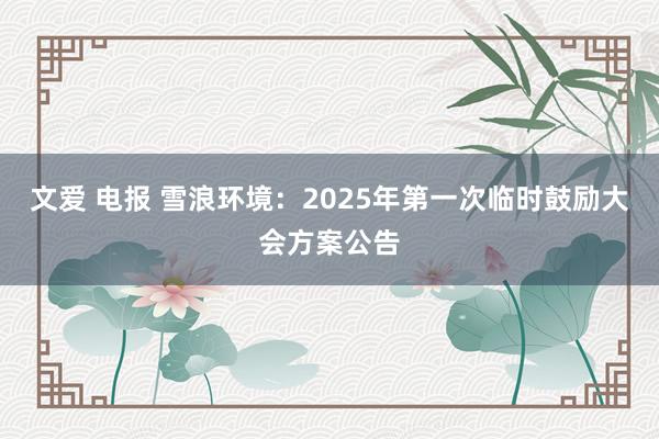 文爱 电报 雪浪环境：2025年第一次临时鼓励大会方案公告