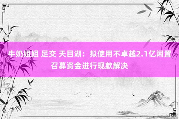 牛奶姐姐 足交 天目湖：拟使用不卓越2.1亿闲置召募资金进行现款解决