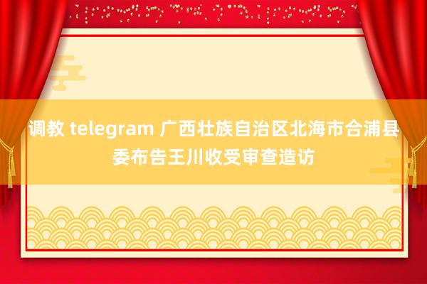 调教 telegram 广西壮族自治区北海市合浦县委布告王川收受审查造访