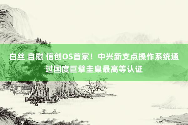 白丝 自慰 信创OS首家！中兴新支点操作系统通过国度巨擘圭臬最高等认证