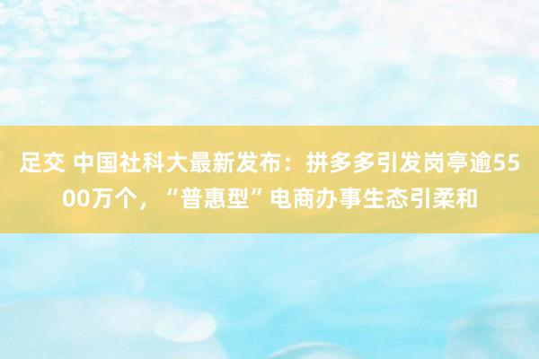 足交 中国社科大最新发布：拼多多引发岗亭逾5500万个，“普惠型”电商办事生态引柔和