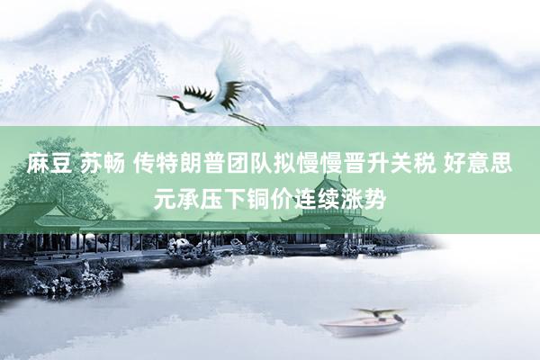 麻豆 苏畅 传特朗普团队拟慢慢晋升关税 好意思元承压下铜价连续涨势