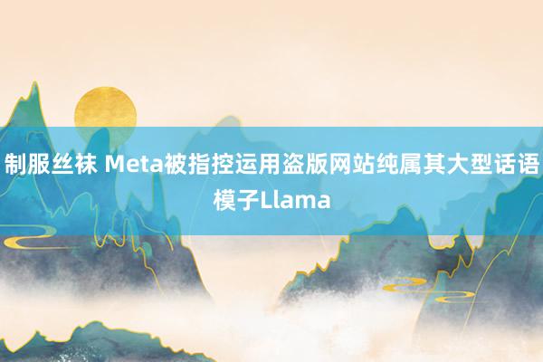 制服丝袜 Meta被指控运用盗版网站纯属其大型话语模子Llama