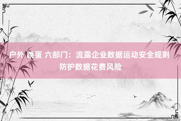 户外 跳蛋 六部门：流露企业数据运动安全规则 防护数据花费风险