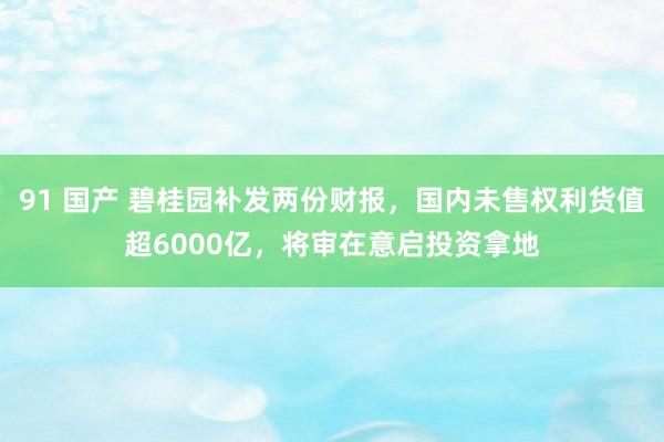 91 国产 碧桂园补发两份财报，国内未售权利货值超6000亿，将审在意启投资拿地