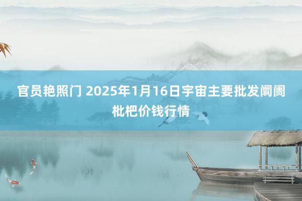 官员艳照门 2025年1月16日宇宙主要批发阛阓枇杷价钱行情